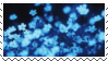 blue flowers